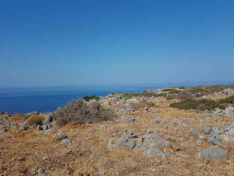 Milatos Kreta, Milatos: Sehr großes Grundstück nahe dem Meer zu verkaufen Grundstück kaufen